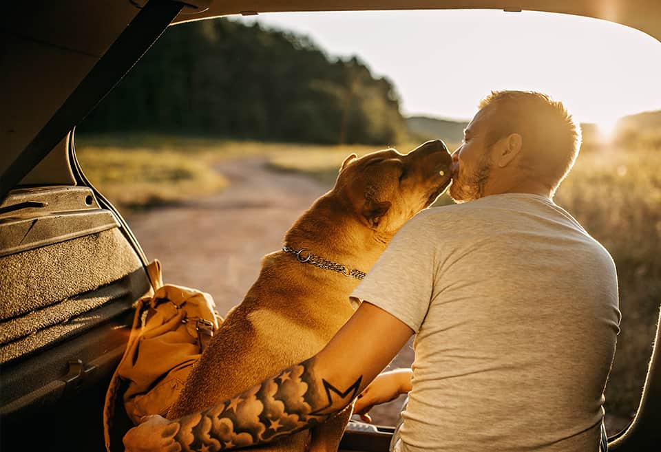 Person kissing their dog on a camping trip