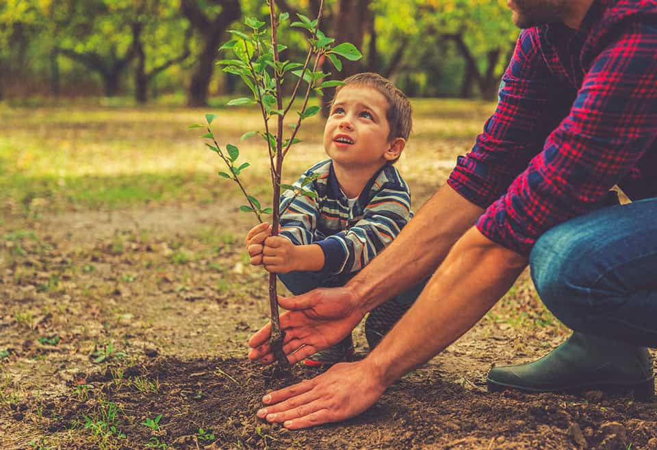 Parent and child planting a tree