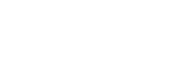 BluPeak Logo white