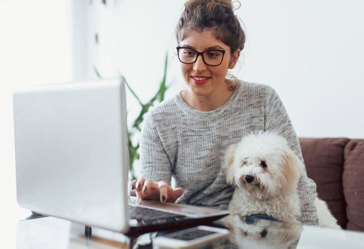 Person working on computer with a dog on their lap.