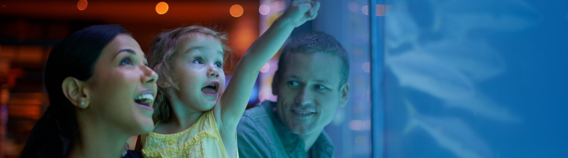 Child pointing at fish in an aquarium, showing their parents