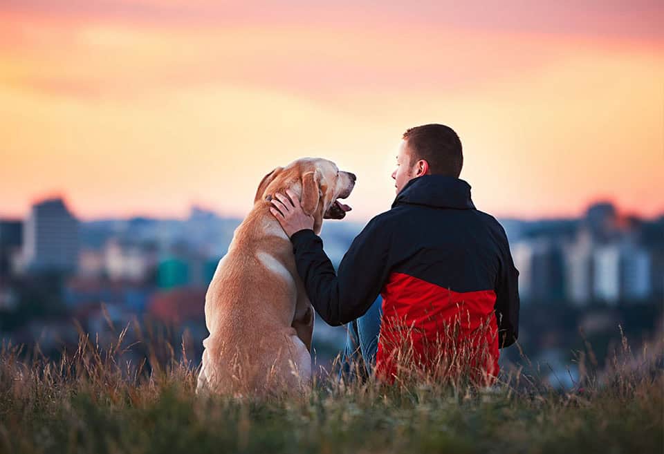 Dog and human outside looking at sunset