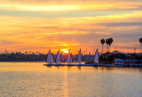 The sunrise over Sail bay in Mission Bay over the Pacific beach in San Diego, California in the United States of America. A view of the palm trees, sail boats and beautiful saltwater bay at sunset.